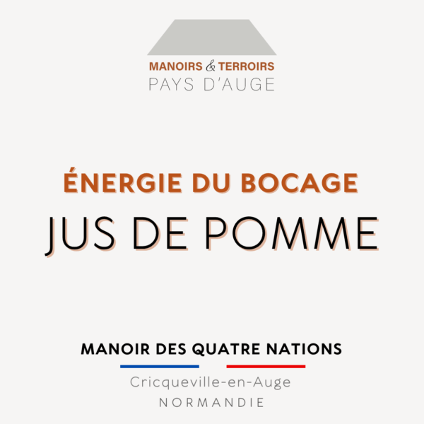 Jus de pomme 100 cL – Image 5