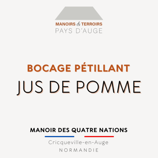 Jus de pomme pétillant 75 cL – Image 3