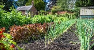 jardin nourricier